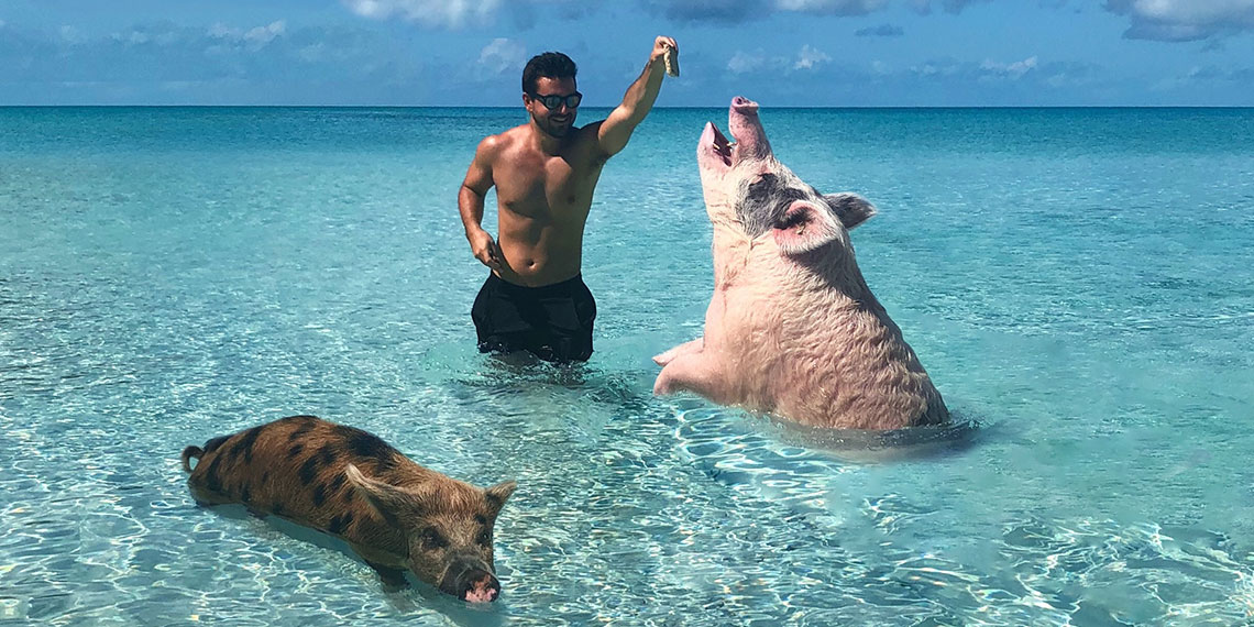 pig beach main