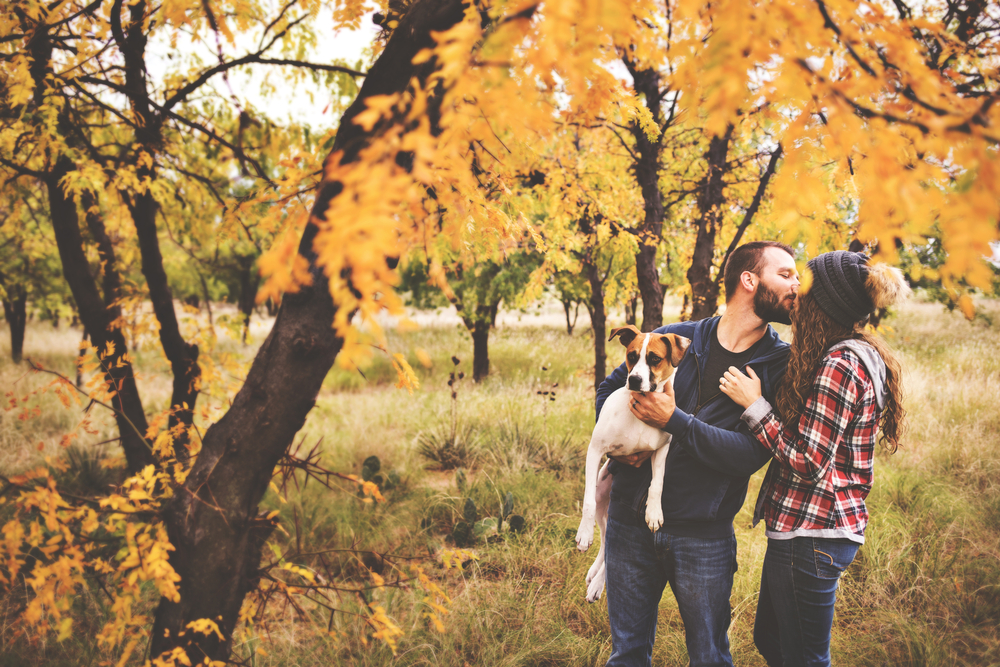 Couple,In,Love,During,The,Fall,With,Dog