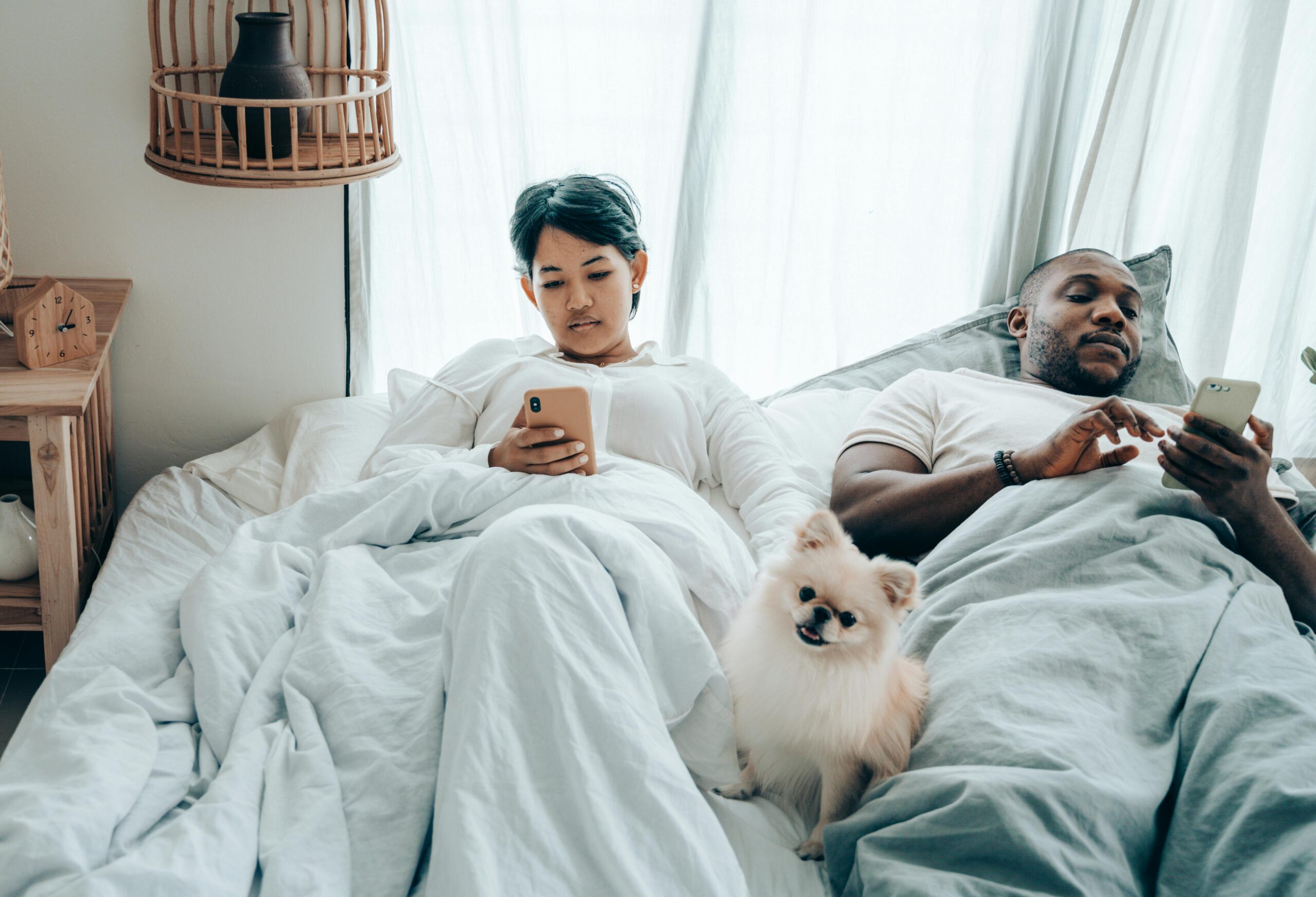 couple in bed with dog