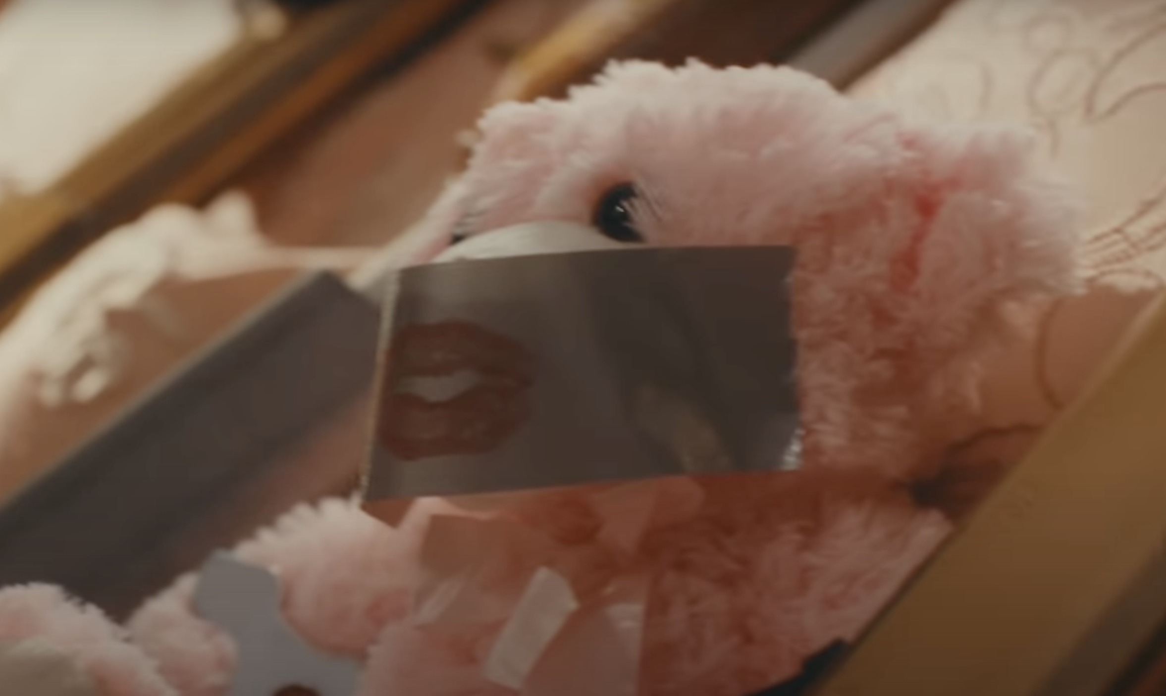 the bear in Sabrina Carpenter's "Taste" music video