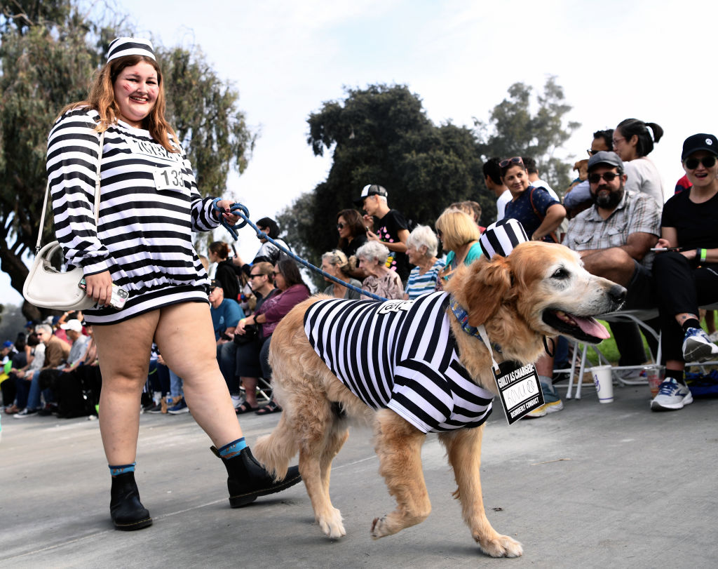 dog jail costume