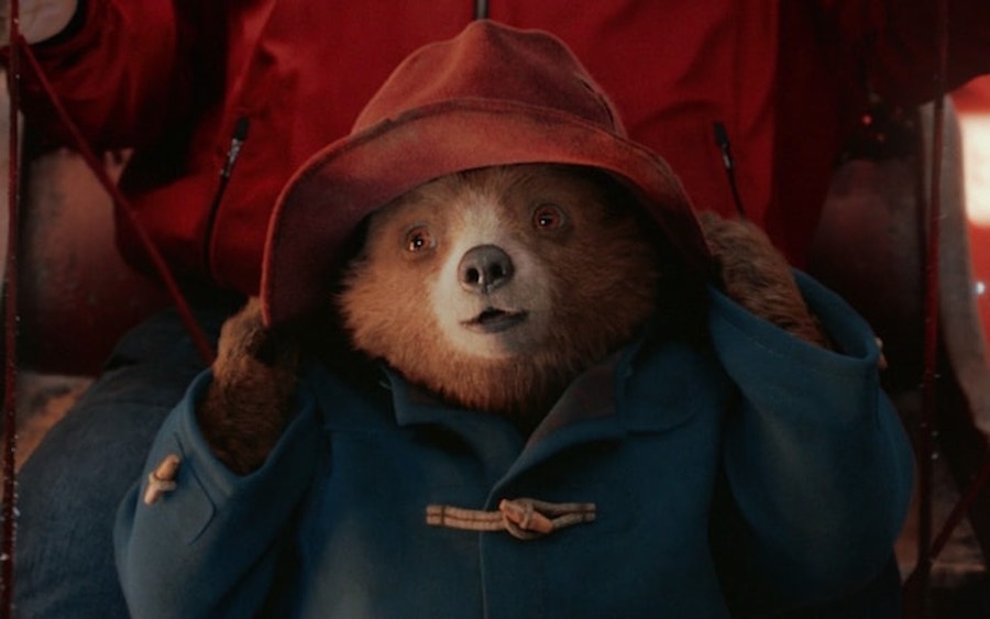 Fisherman Aesthetic; Paddington Bear