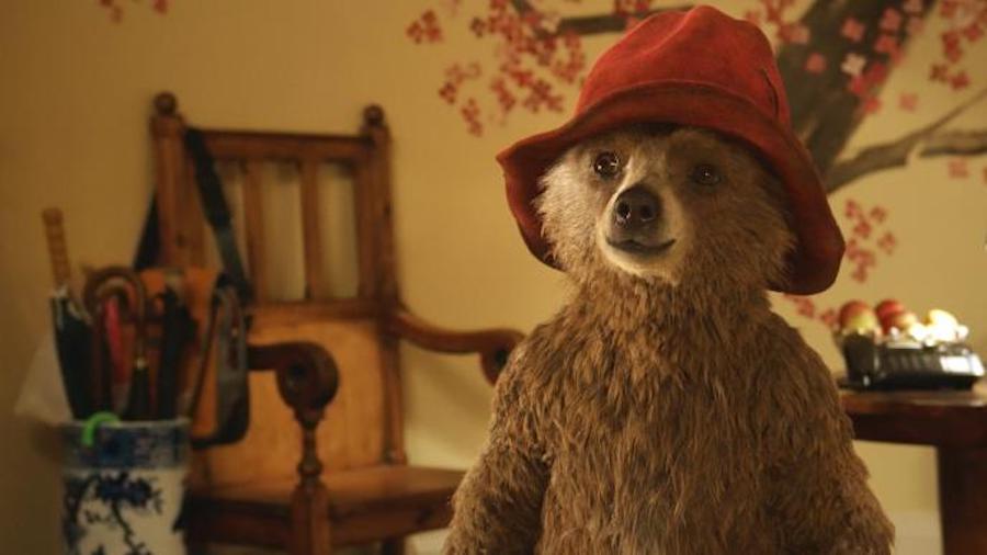 Paddington Bear 