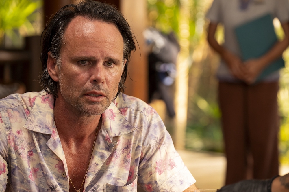 Rick in 'The White Lotus'