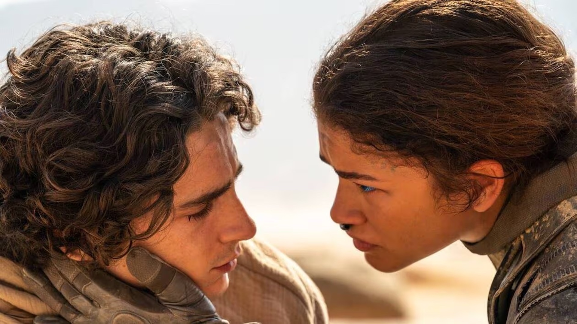 Timothee Chalamet; Zendaya; Dune; Fictosexuality