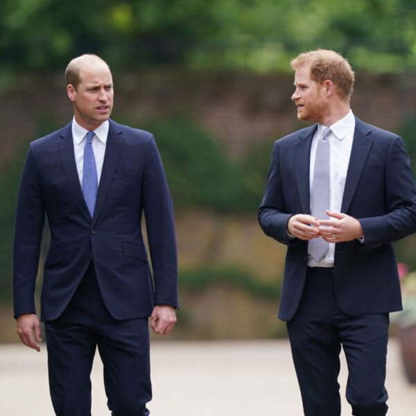 Prince William Prince Harry fight