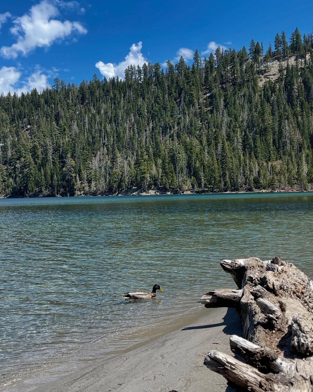 lake-tahoe-14
