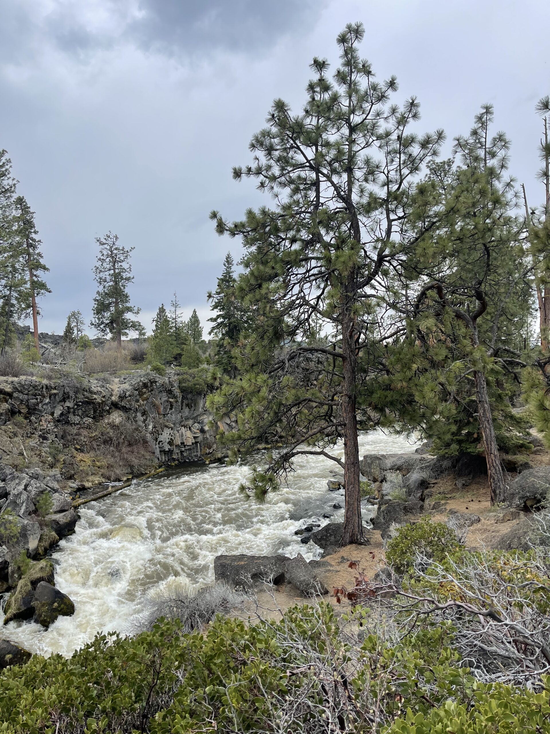 brasada-ranch-10