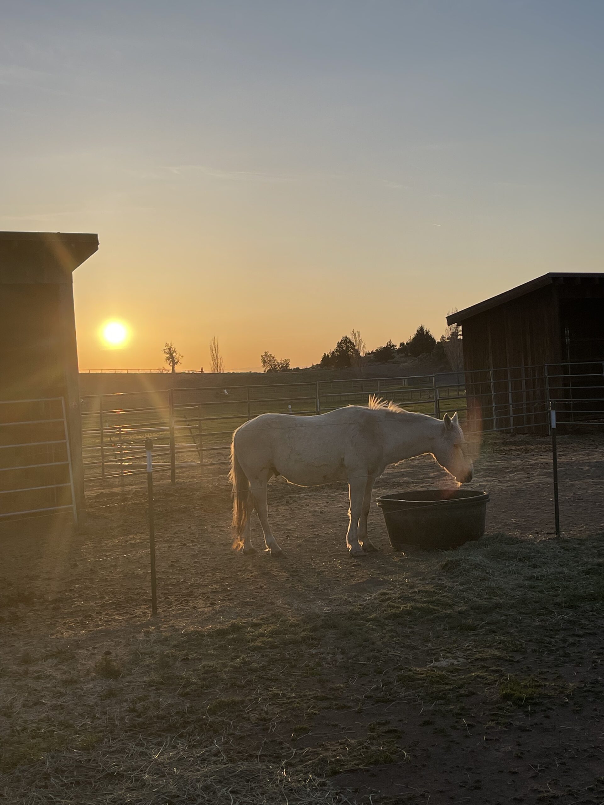 brasada-ranch-16