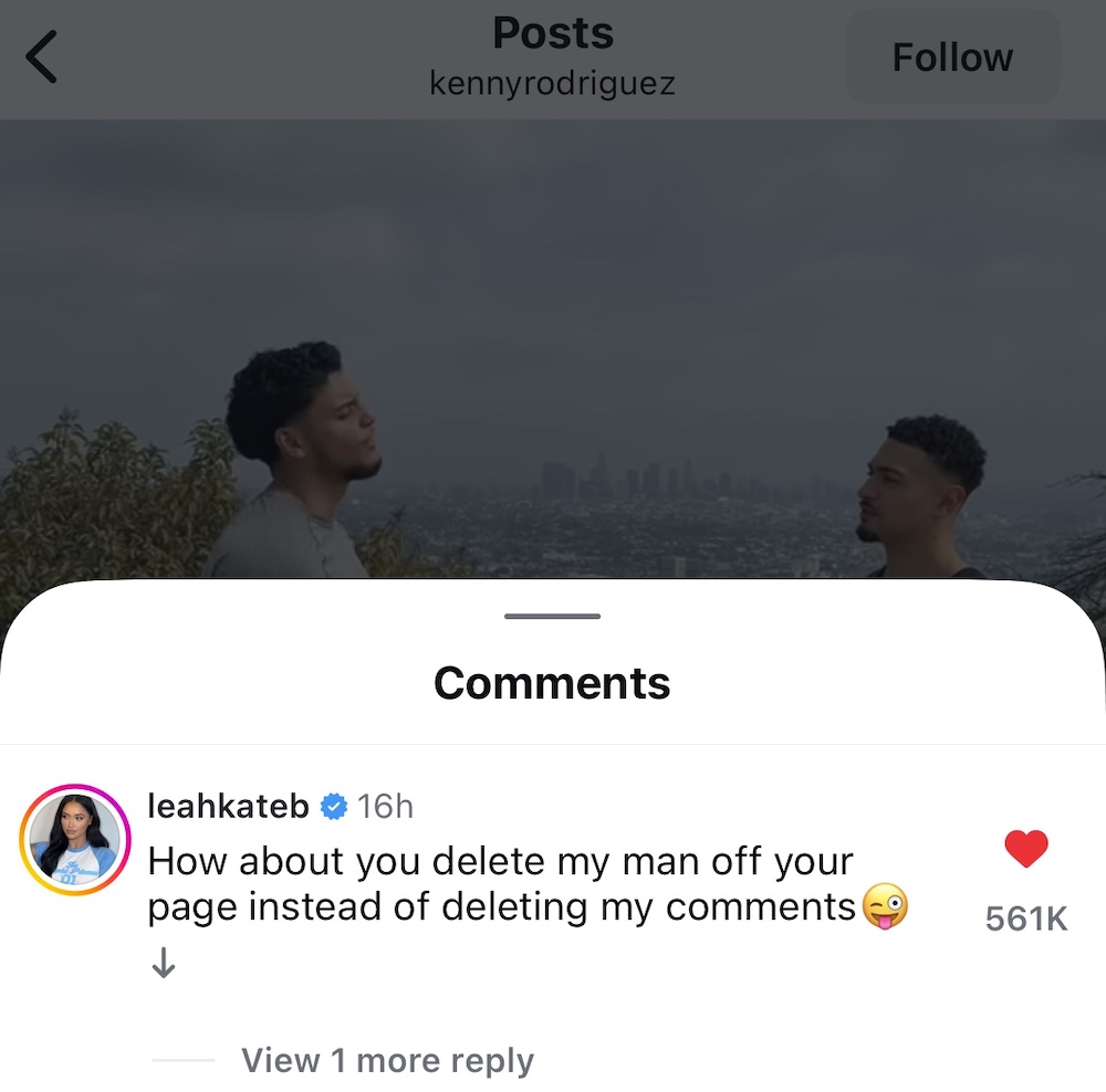Leah Kateb Kenny comment